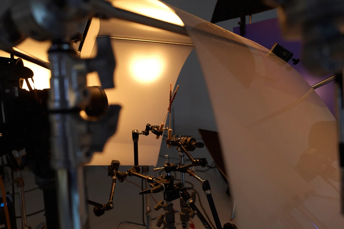 Work image 8