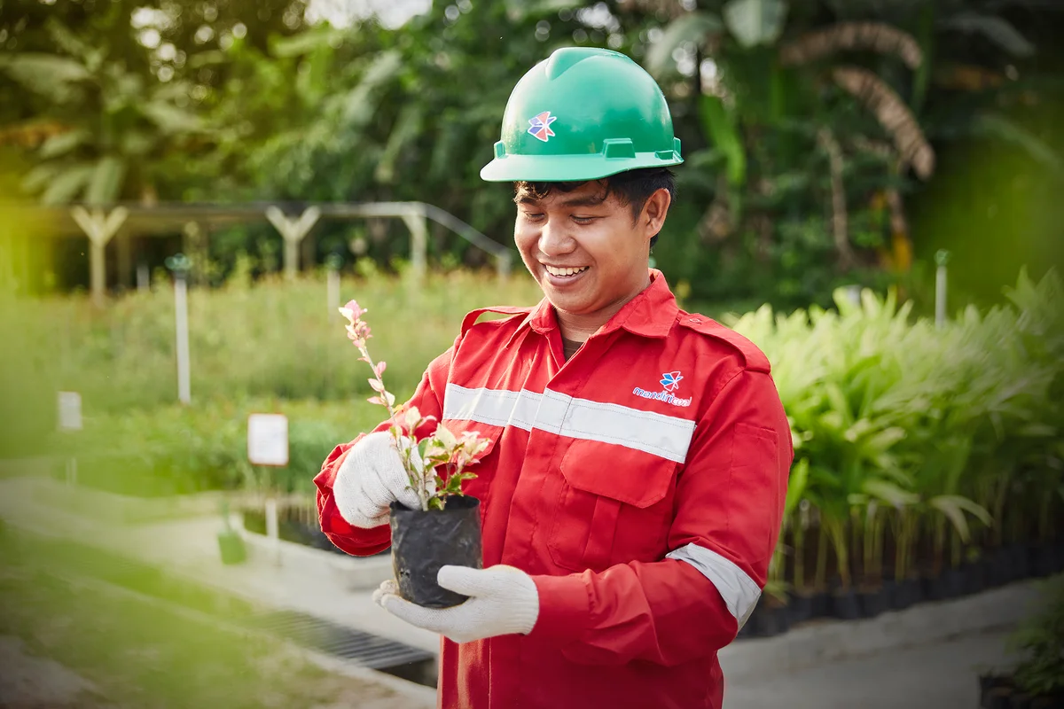 Work image 1